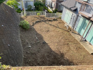 お庭の樹木一掃