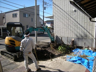 根っこの掘出し 伐根